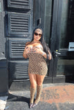 SNATCHED LEOPARD TUBE DRESS