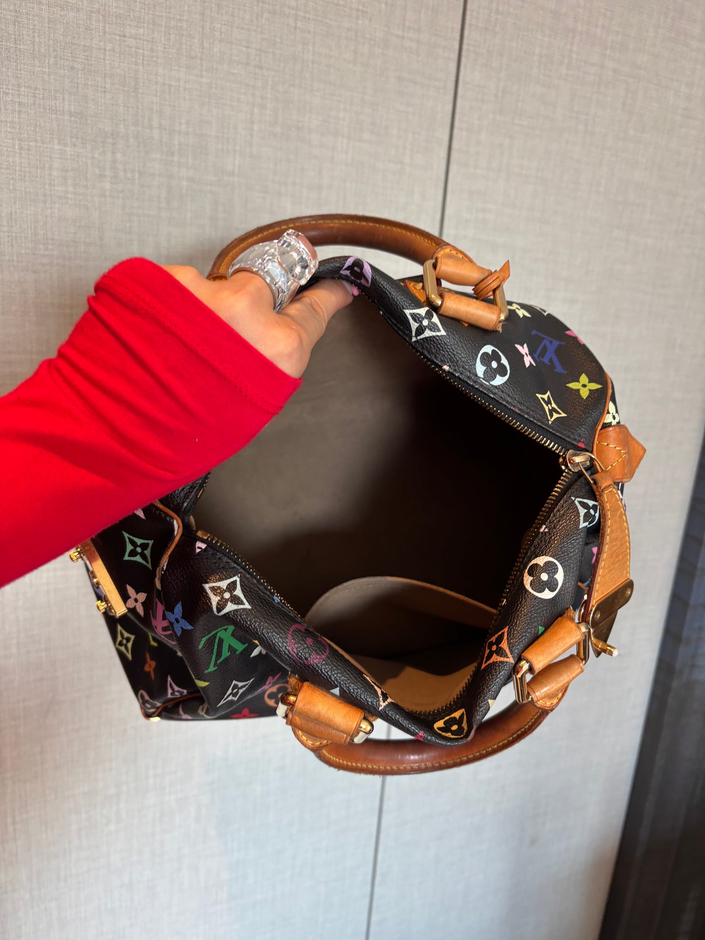 Louis Vuitton Speedy30 Monogram Multicolor Handbag - Adriana Sahar
