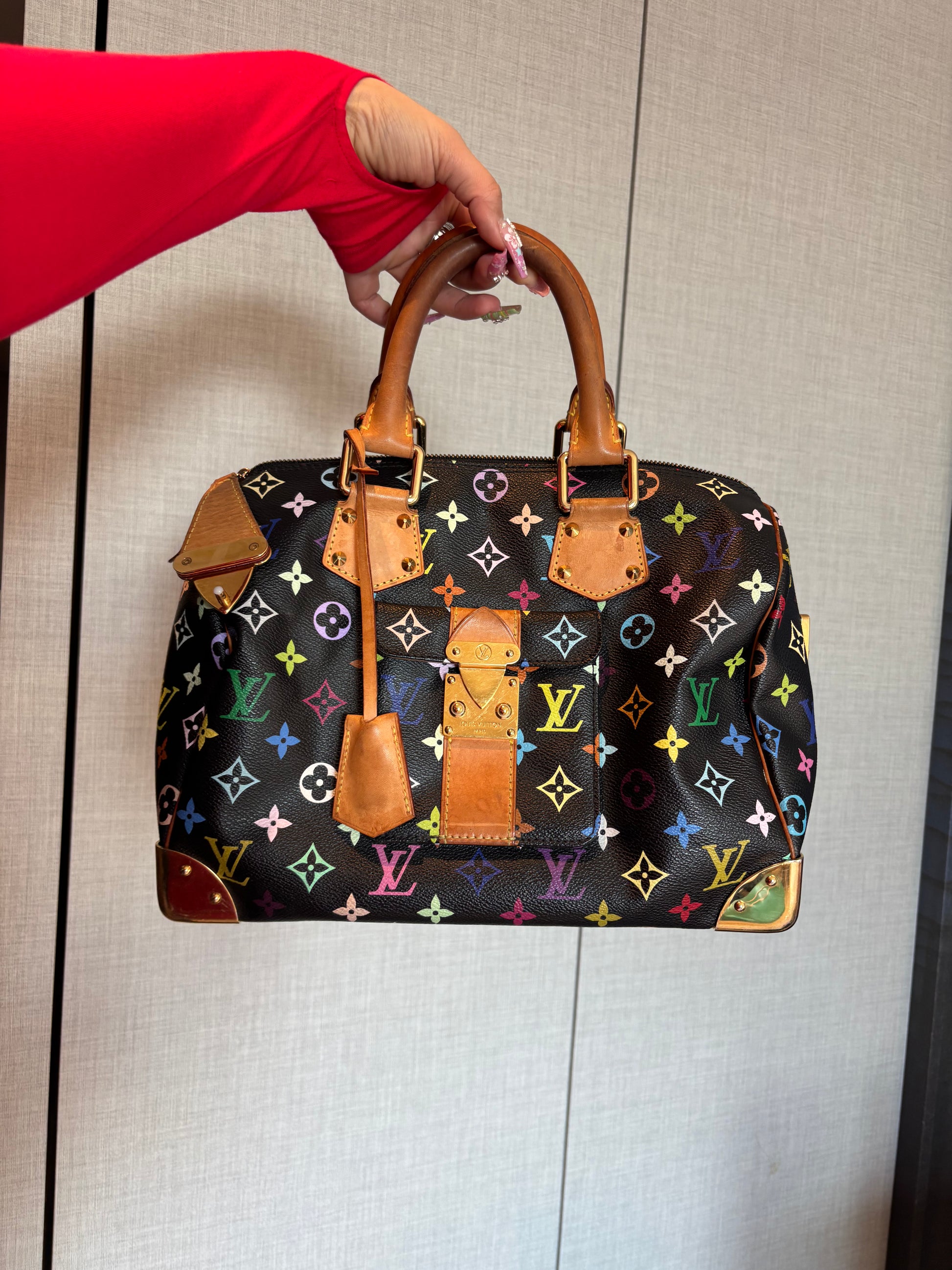 Louis Vuitton Speedy30 Monogram Multicolor Handbag - Adriana Sahar
